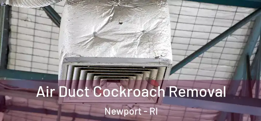  Air Duct Cockroach Removal Newport - RI
