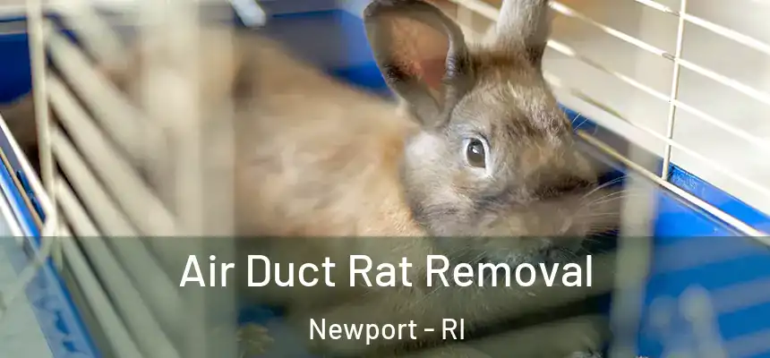  Air Duct Rat Removal Newport - RI