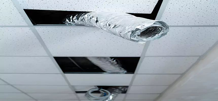 Our Air Duct Pet Hair Removal Services in Newport, RI