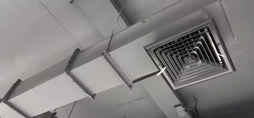 Our Rodent Droppings In Vents Services in Newport, RI