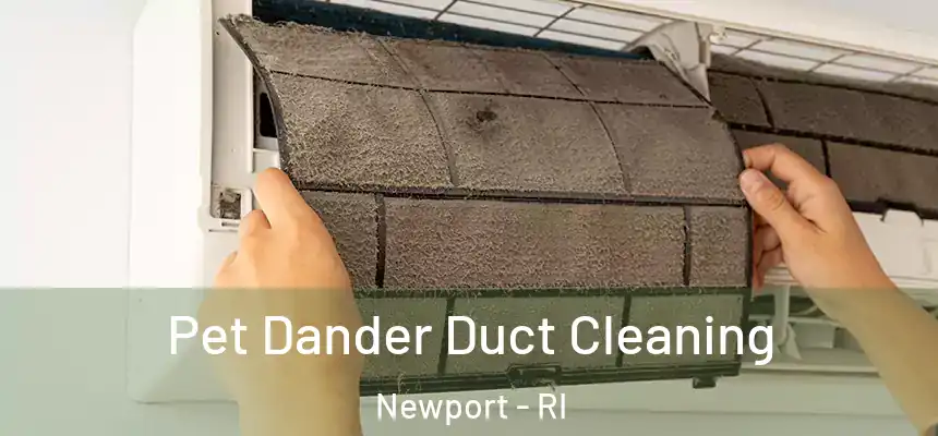  Pet Dander Duct Cleaning Newport - RI