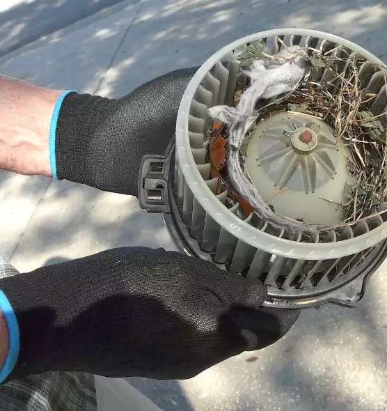 About Air Duct Rat Removal in Newport, RI