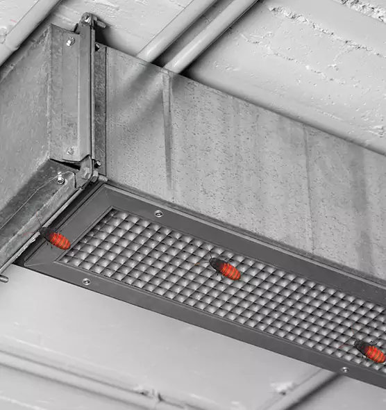 Affordable Insect Removal from Air Ducts in Newport, RI