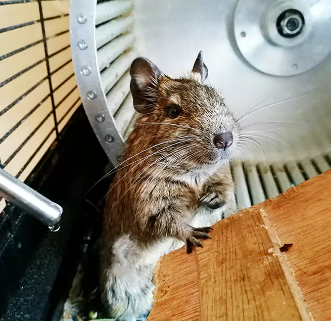 Why Homeowners & Businesses Trust Us Newport, RI?