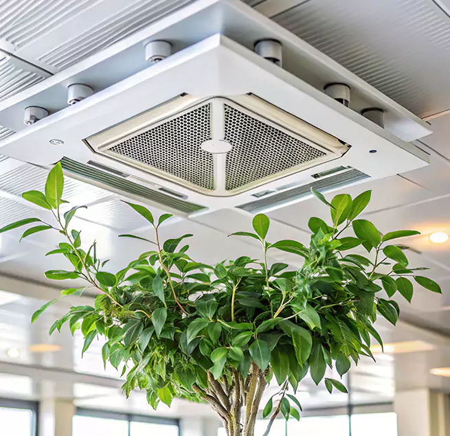 Why Homeowners & Businesses Trust Us in Newport, RI